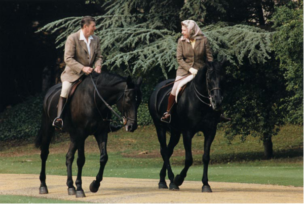 調良板報丨那些見證了歷史的馬 The Horses That Have Made History738.png