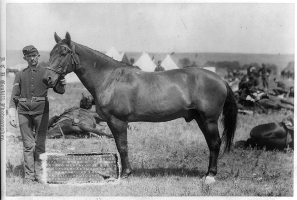 調良板報丨那些見證了歷史的馬 The Horses That Have Made History1566.png