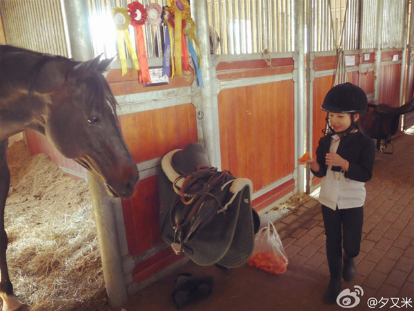 2014-5-4 夕.jpg