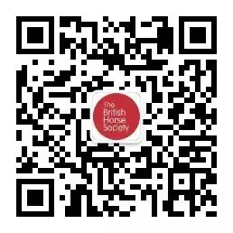 BHS考試報名丨3天爆滿！40余位額外申請者仍在等待！Already Full for BHS Exams929.png