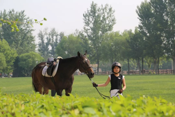 2018.5.23天星CAMP丨學到快樂，玩到精通！暑假里一場專業馬術游戲！85.png